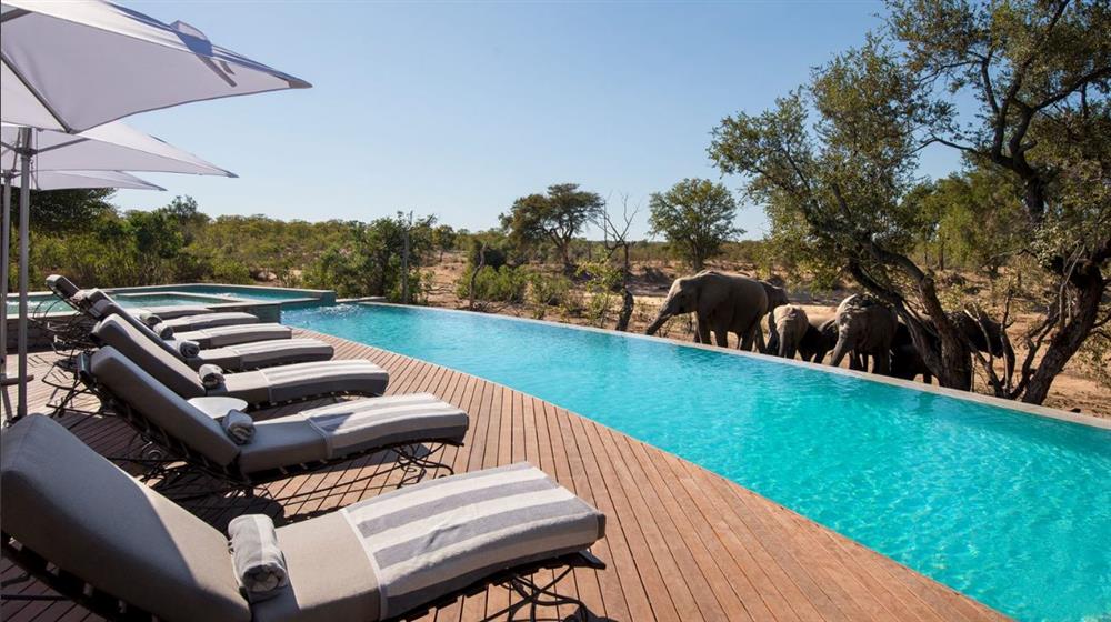 Ngala Tented Camp